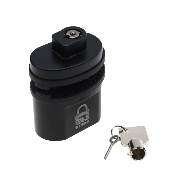 Fingerprint gun lock