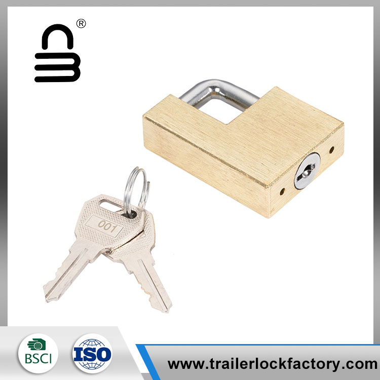 Zinc Alloy Trailer Hitch Pin Lock